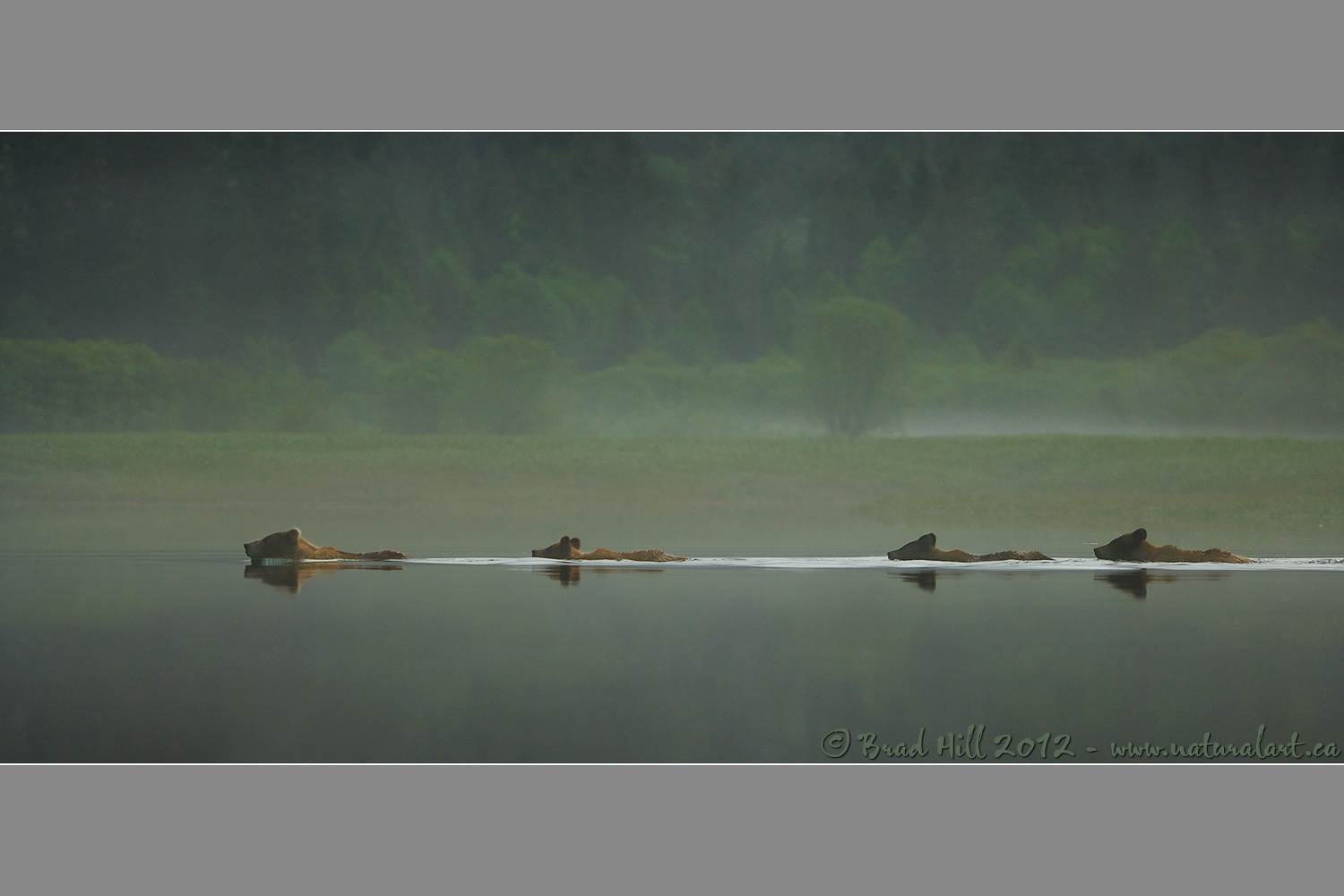 Swimming in Solitude