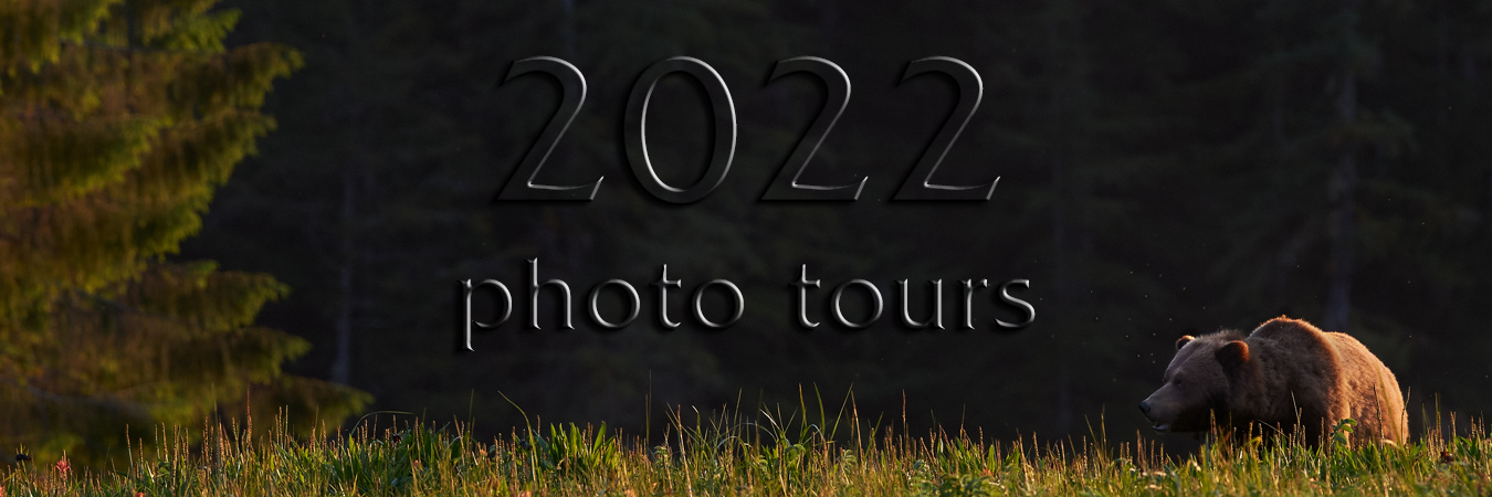 2022 Photo Tours