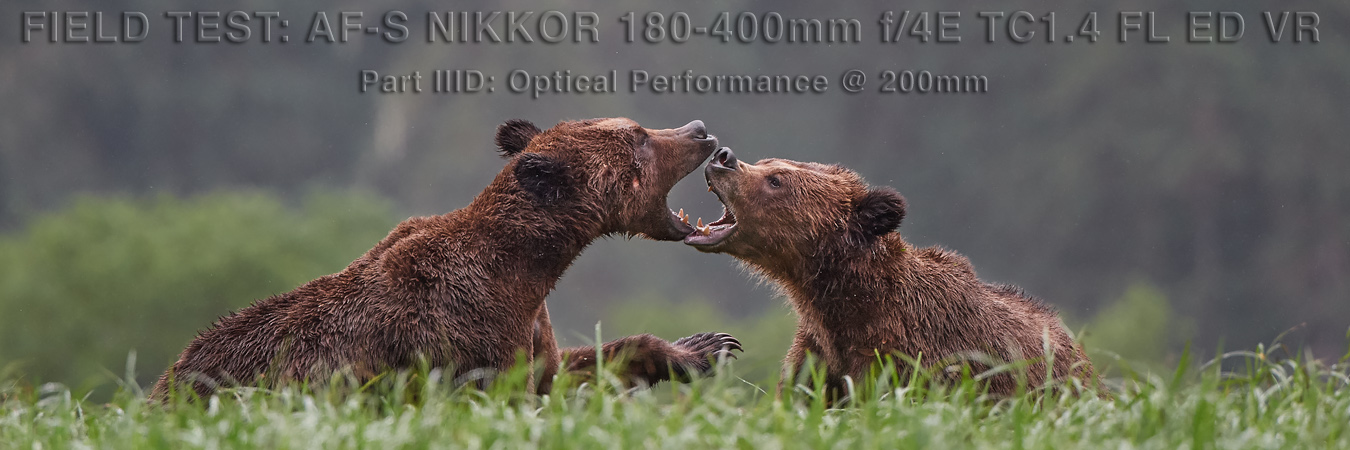 Nikon 180-400mm Field Test: Optical Performance at 200mm