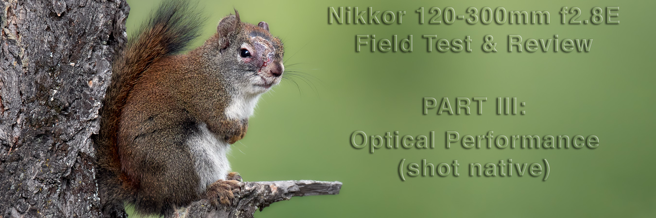Nikkor 120-300mm f2.8E Field Test: Optical Performance