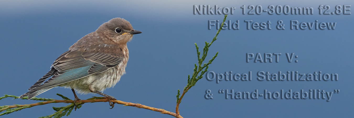 Nikkor 120-300mm f2.8E Field Test: Optical Stabilization & Hand-holdability