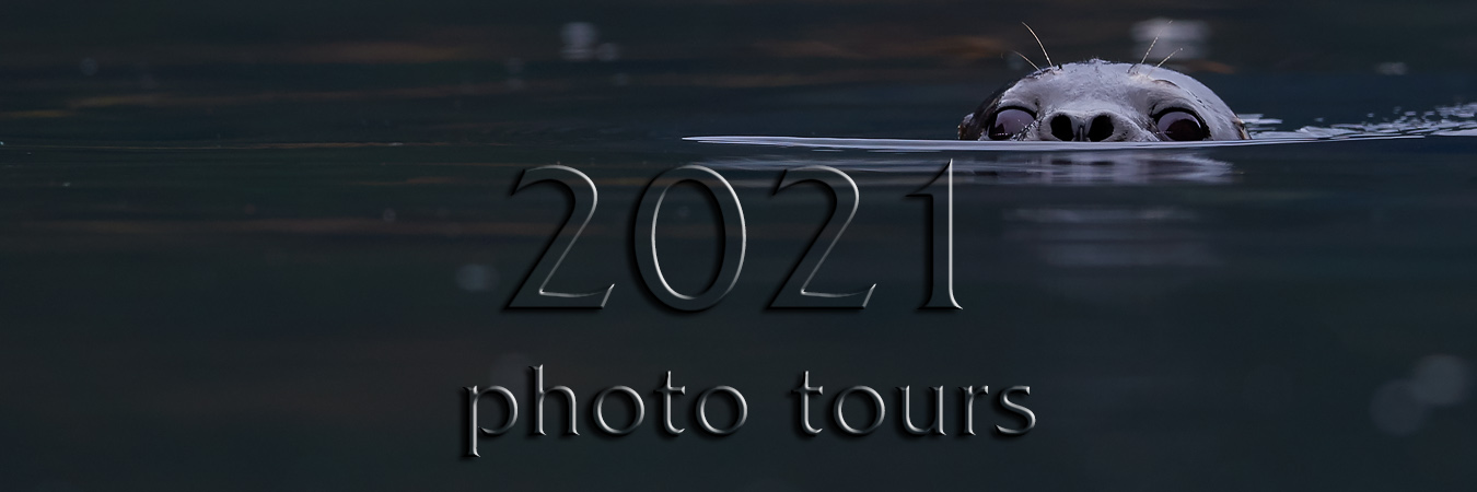 2021 Photo Tours