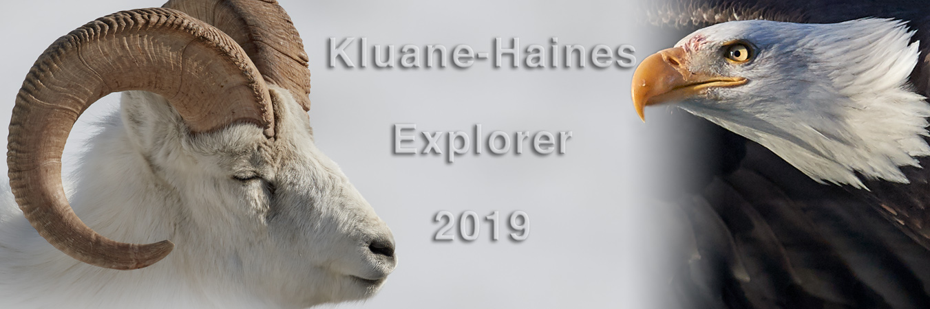 Kluane-Haines Explorer