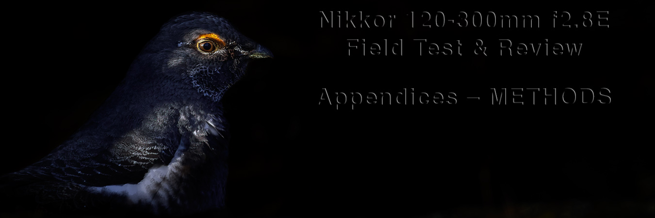 Nikkor 120-300mm f2.8E Field Test: Appendices - Methods