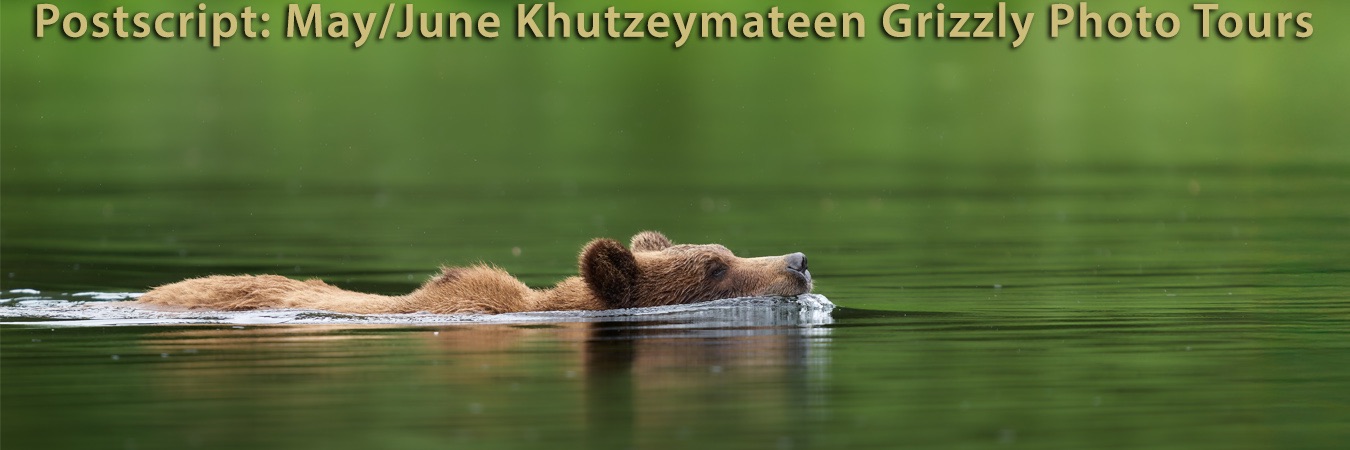 Postscript: May/June Khutzeymateen Grizzly Photo Tours
