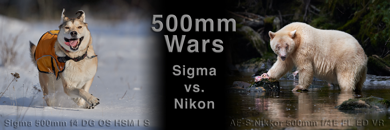 500mm Wars: Sigma vs. Nikon