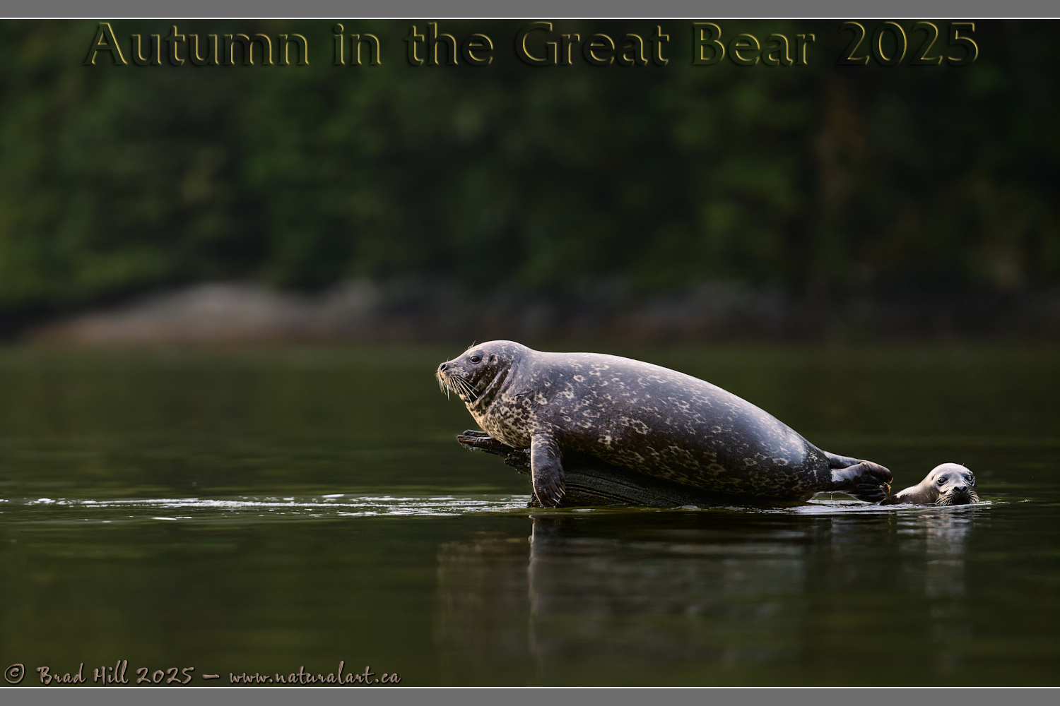 Into the Setting Sun