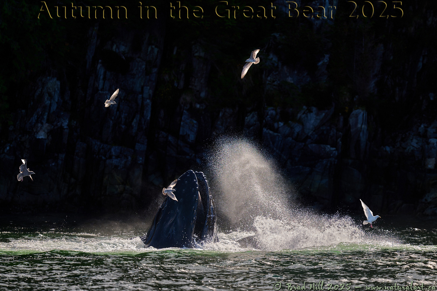 Raw West Coast Energy