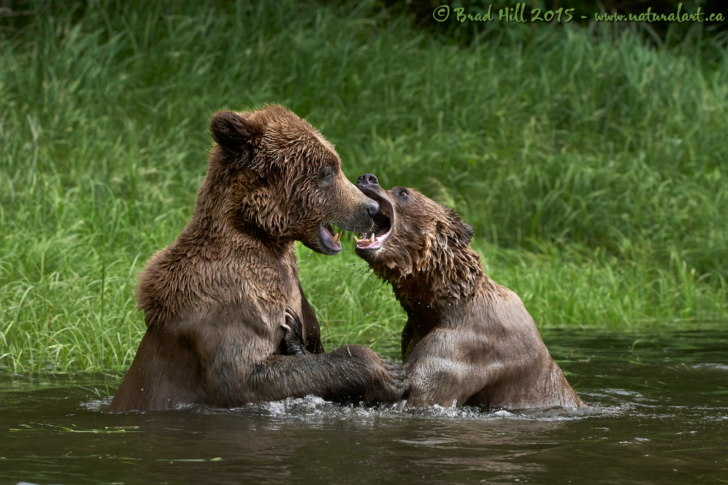 Putting the Bite On!