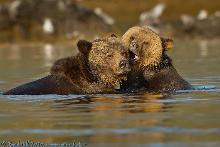 Mother and Daughter - Pure Affection