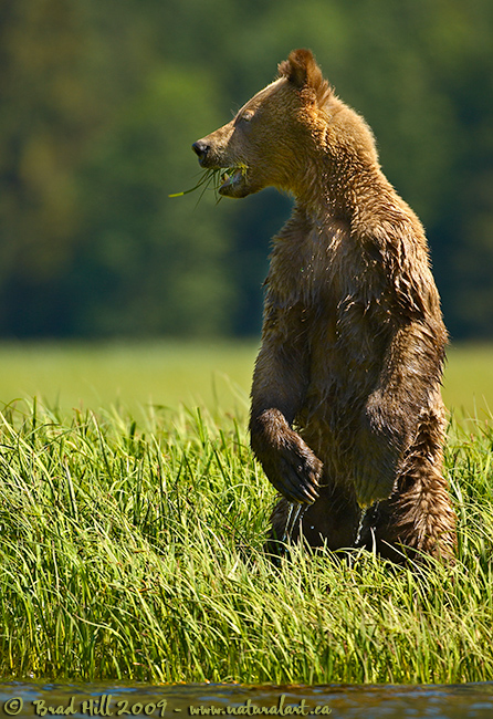Hey...Who Goes There?
