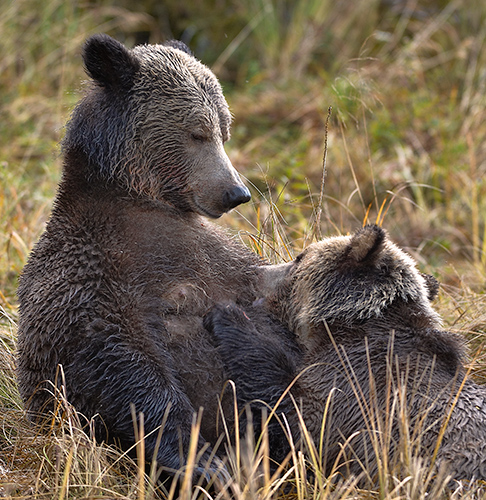 Reflecting on Motherhood