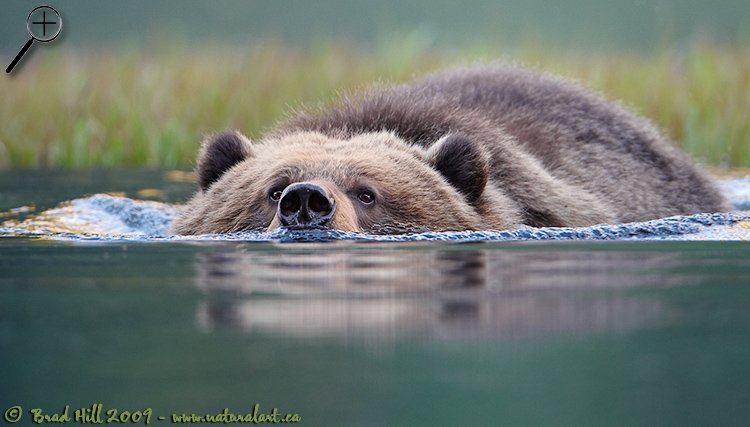 Keep That Snorkel Up!