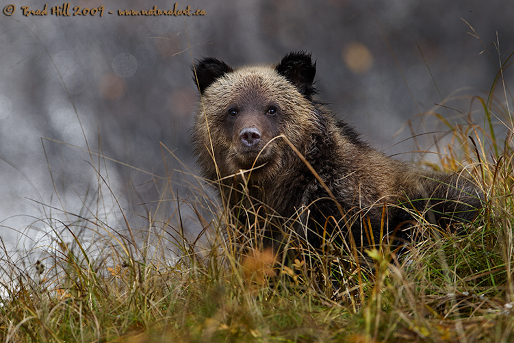 The Art of Hiding - UNmastered!