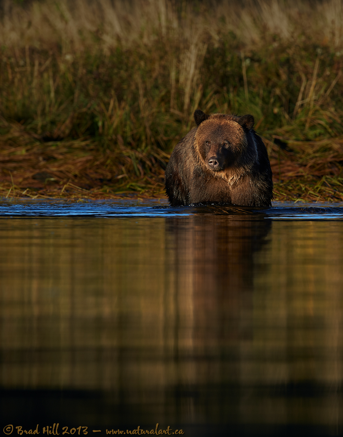 Wading into Sunset