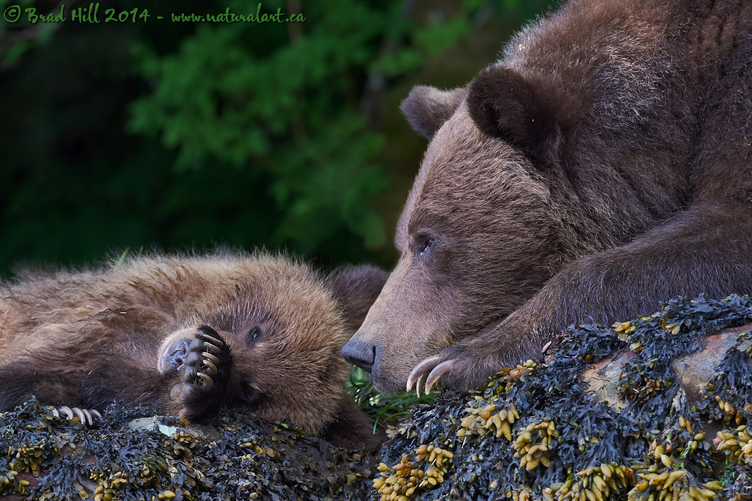 Trusting Ma's Watchful Eye