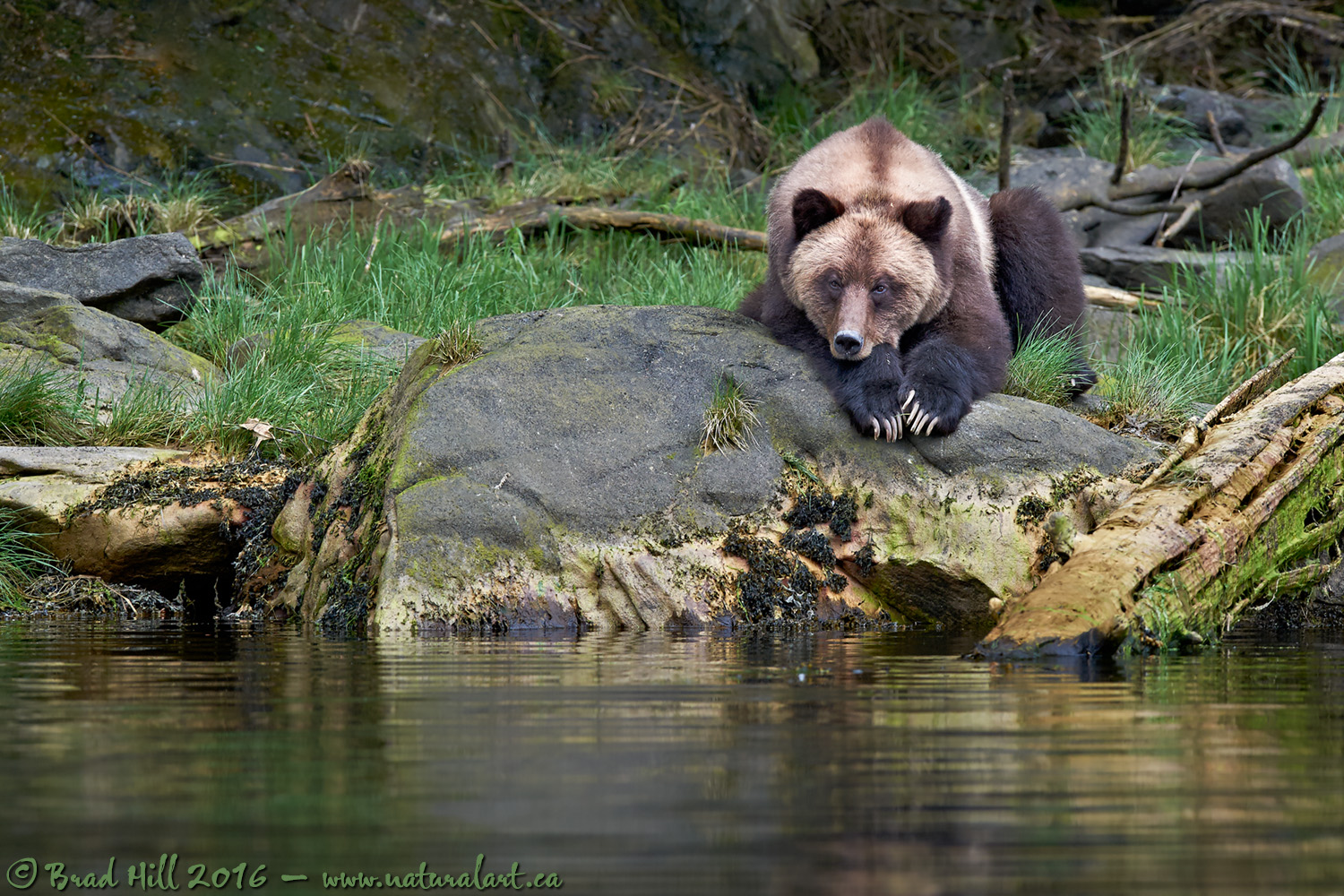 Contemplation