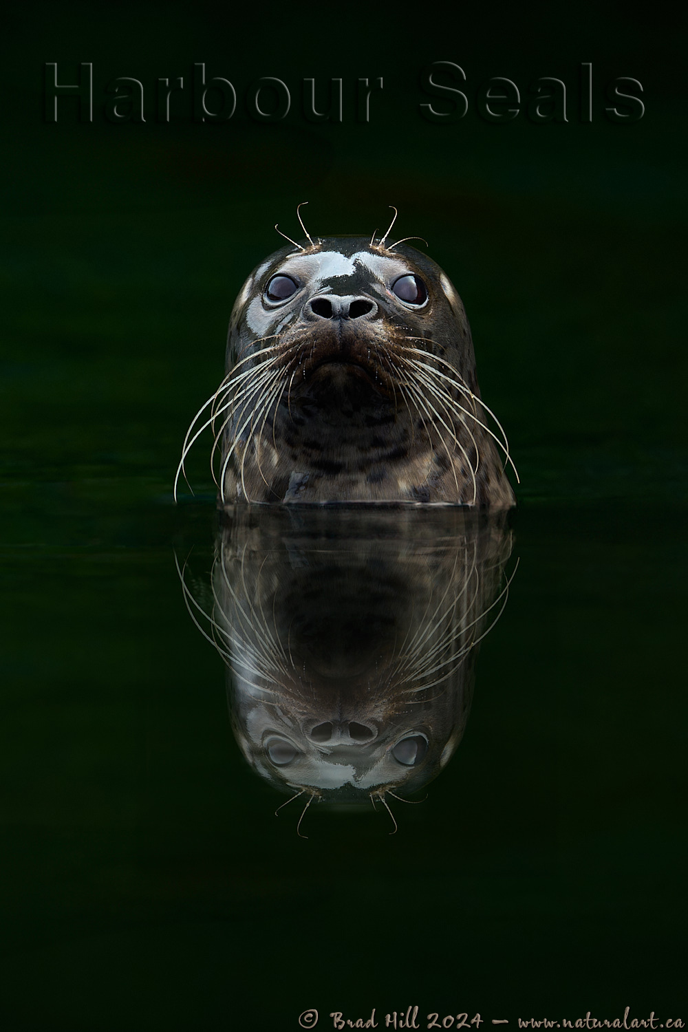 Calm. Curious.