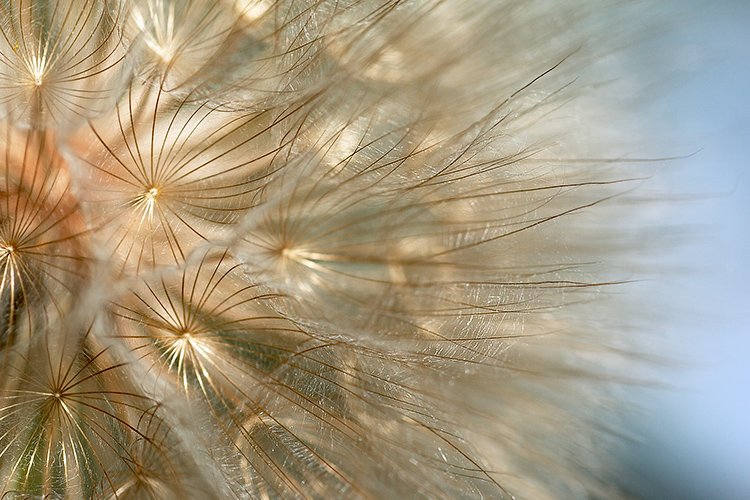 Transitions