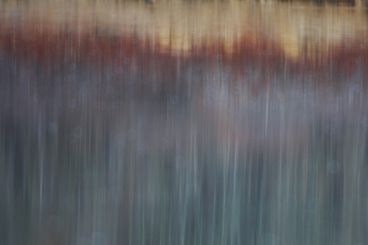 Reflecting on Diggie's Pond