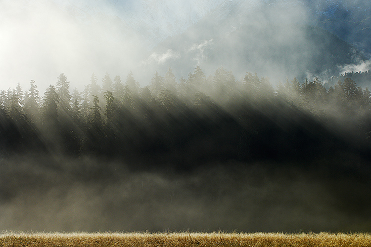 Sunrays at Sunrise