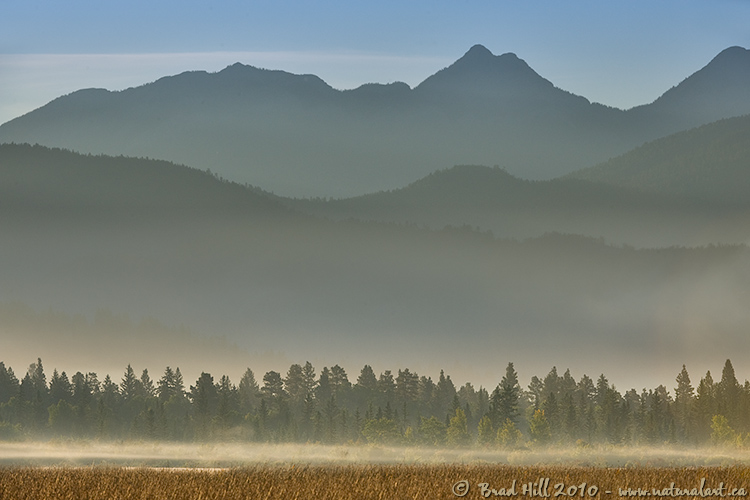 From Marsh to Mountain Peak