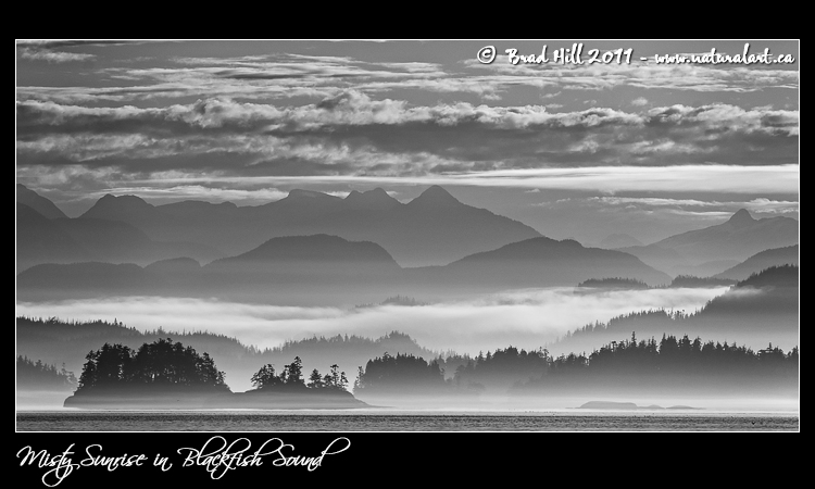 Misty Sunrise in Blackfish Sound
