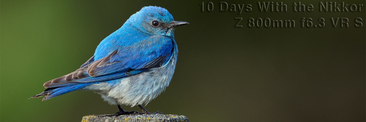 Natural Art Images: Brad Hill: Field Tests: 10 Days With the