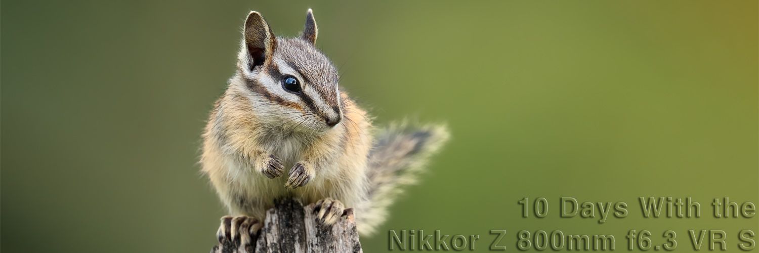 Natural Art Images: Brad Hill: Field Tests: 10 Days With the