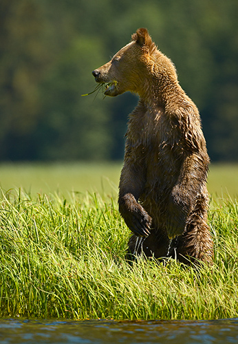 Hey...Who Goes There?